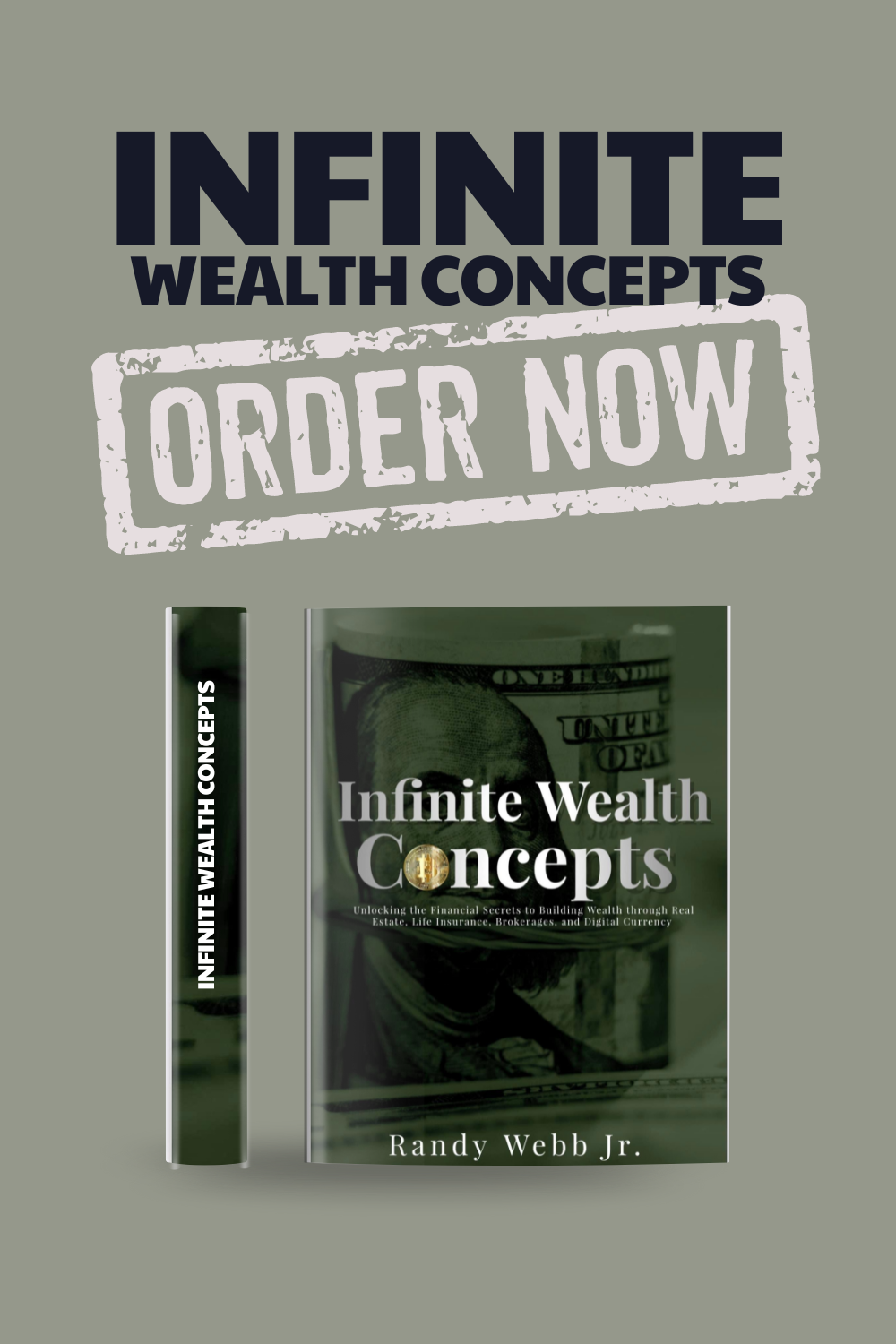 Infinite Wealth Concepts by Randy Webb